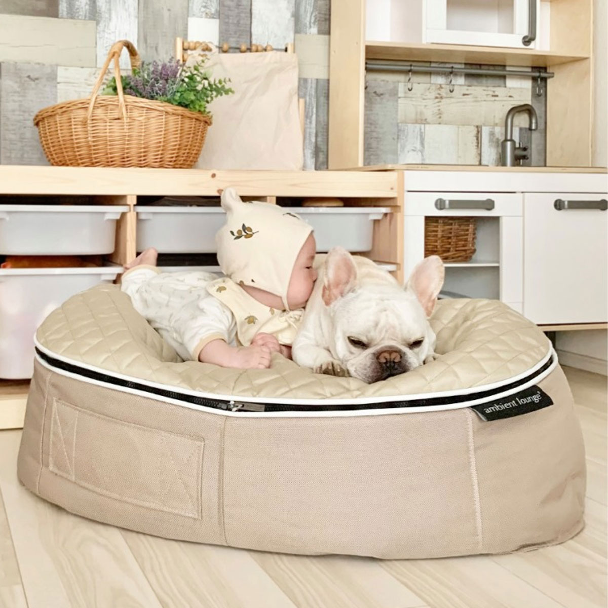 Pet Lounge Dog Beds 02