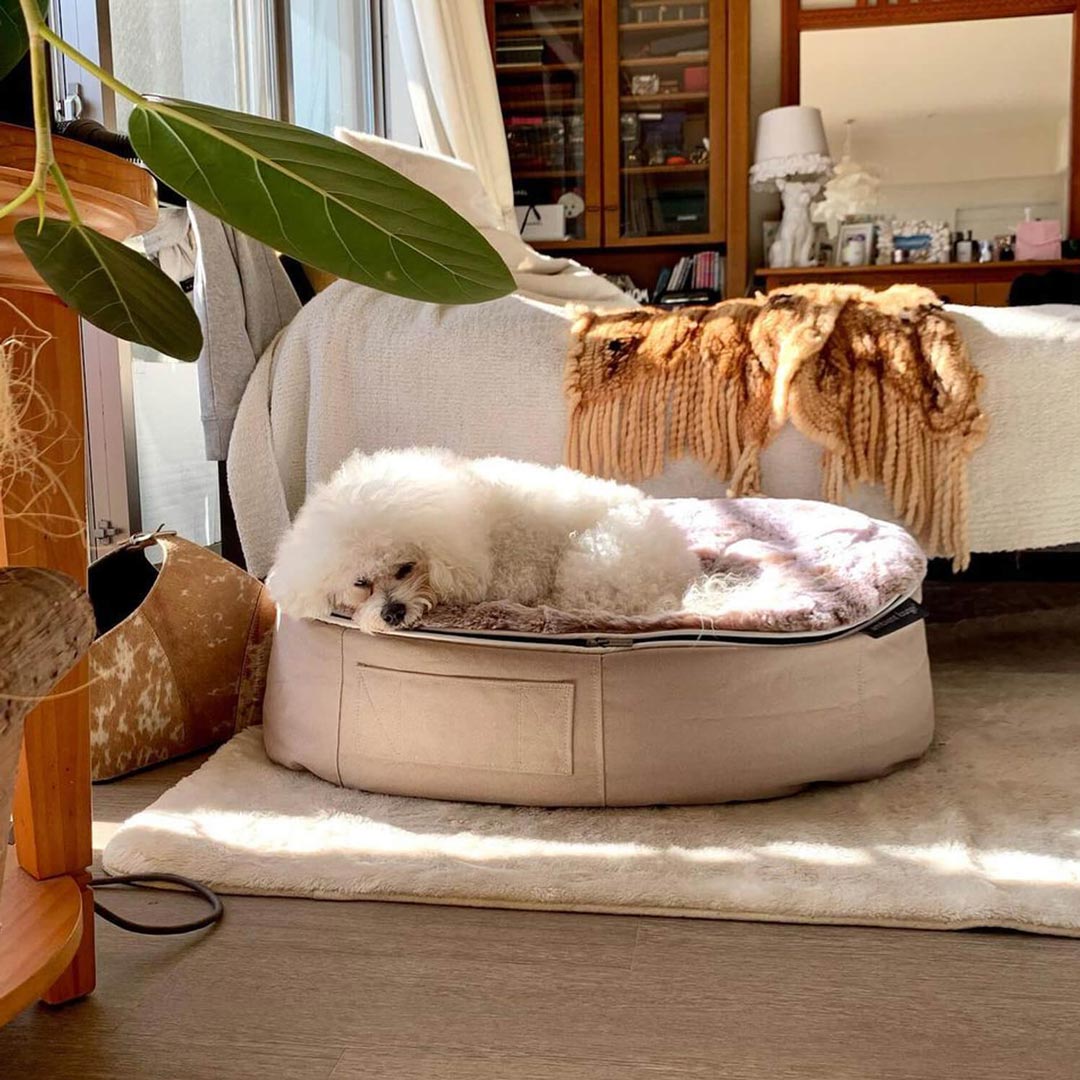 Pet Lounge Dog Beds 05