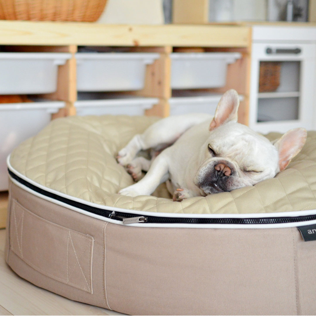 Pet Lounge Dog Beds 10