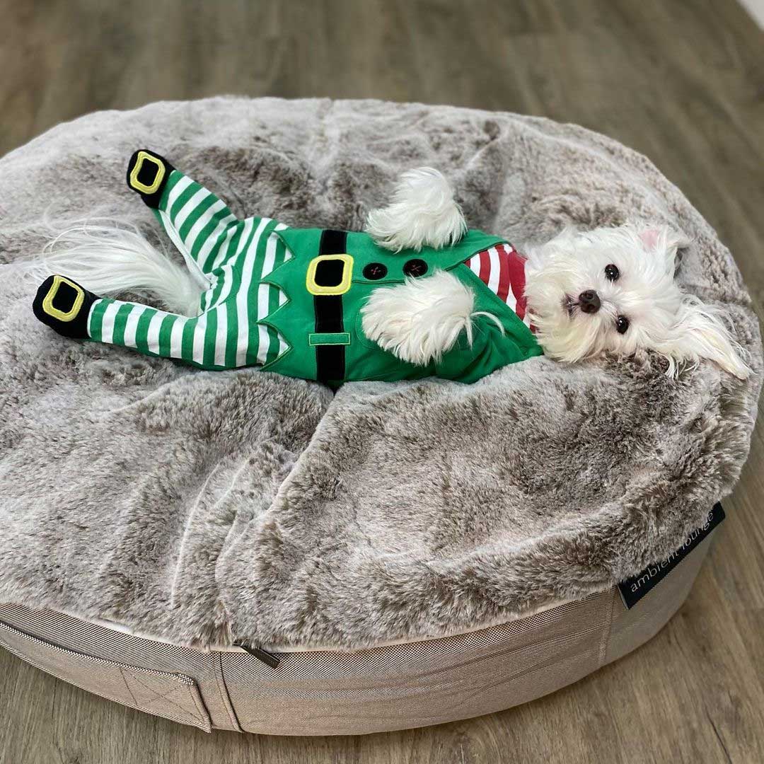 Pet Lounge Dog Beds 18