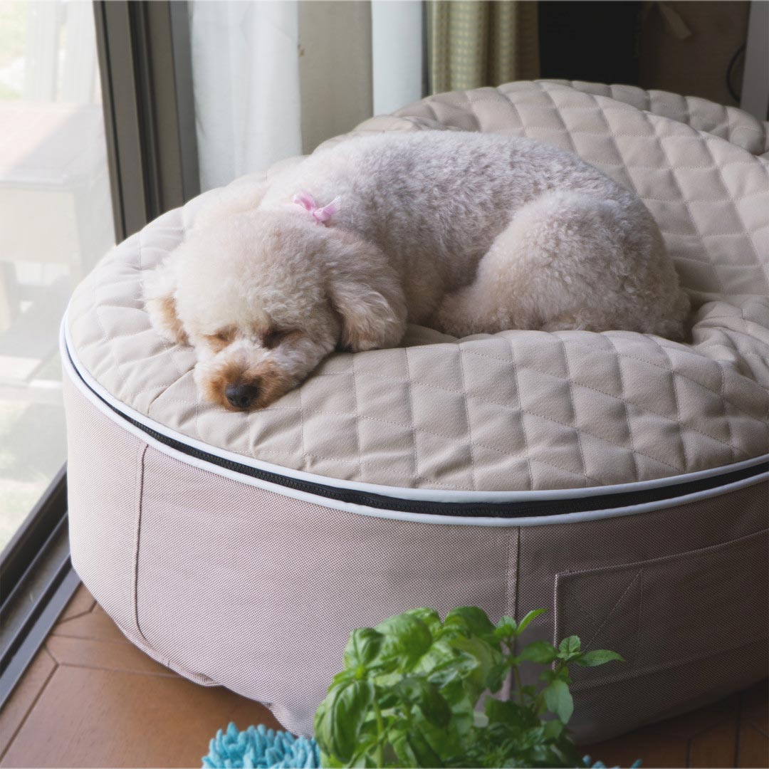 Pet Lounge Dog Beds 21