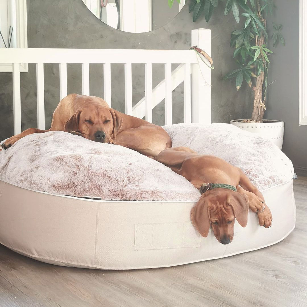 Pet Lounge Dog Beds 30