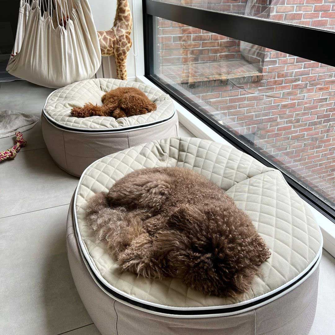 Pet Lounge Dog Beds 35