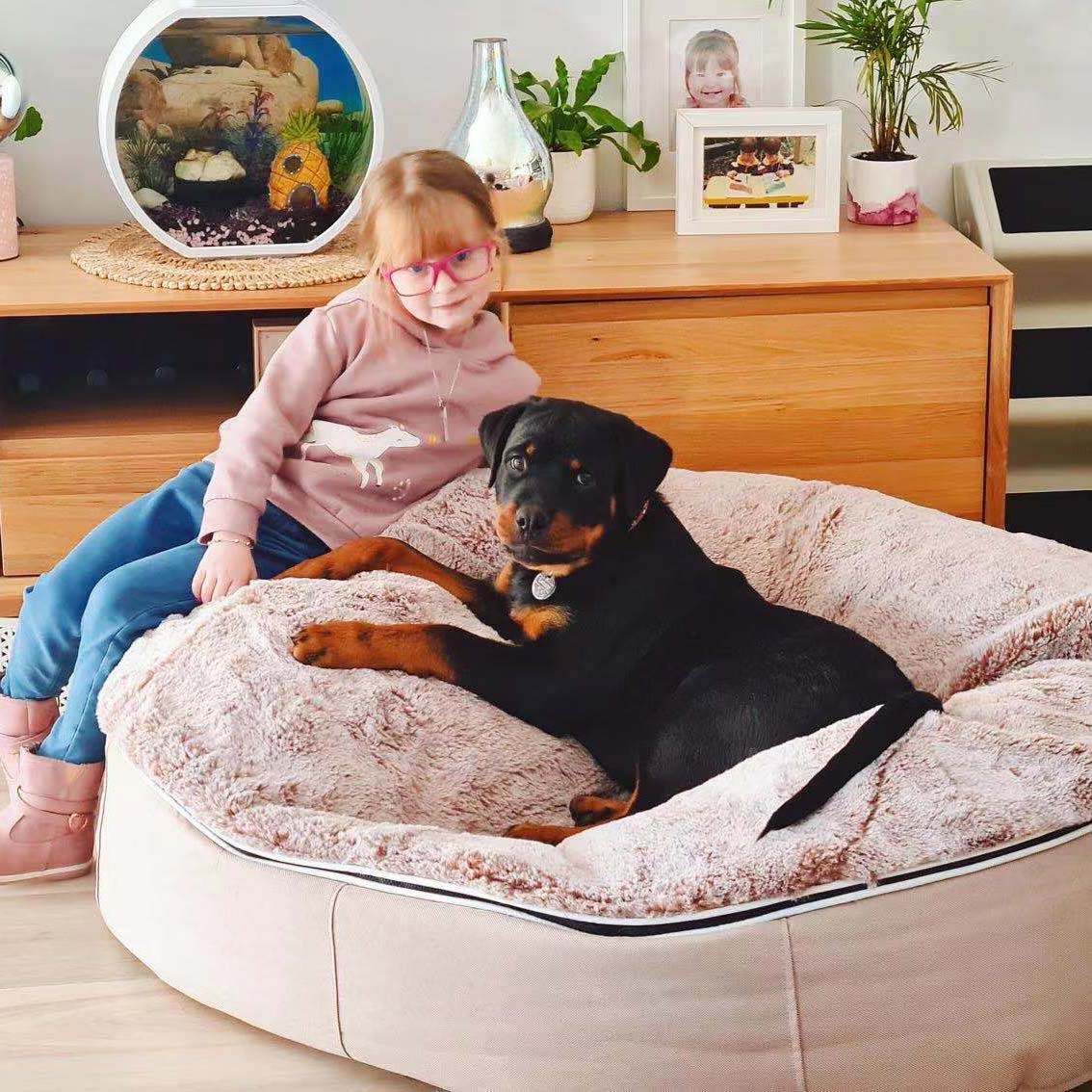 Pet Lounge Dog Beds 43