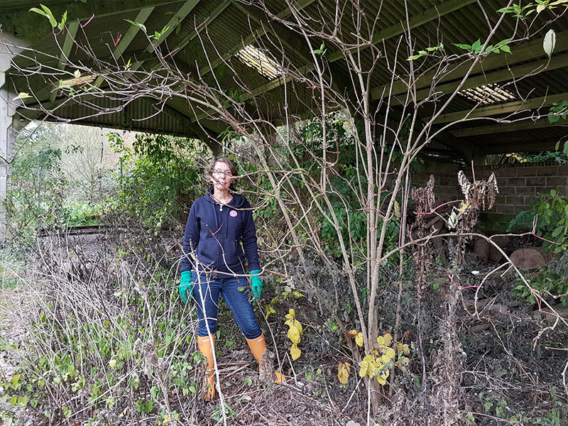 Kathy clearing brambles before the barn conversion